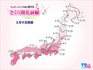 sakura_front